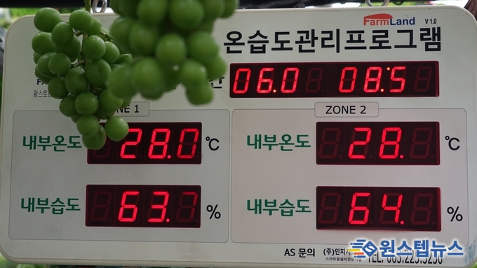 화성 포도 농가들은 포도 ICT 종합정보시스템과 온습도 관리 프로그램을 사용하여 온도와 습도를 체계적으로 관리