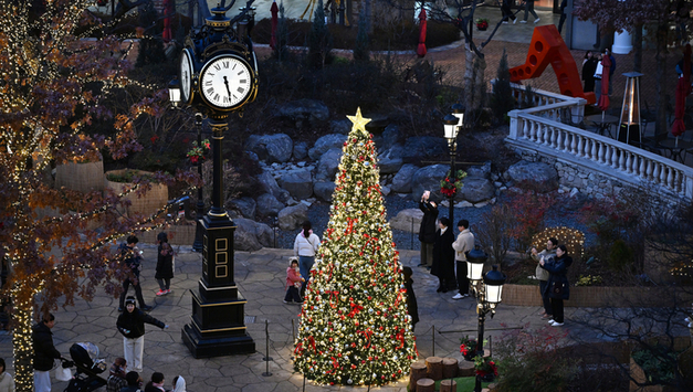 시흥의 겨울, 아름다운 빛으로 밝히다 「2025 시흥 시청 에코센터 빛의 정원」 점등, 시민들에게 특별한 겨울 경험 선사