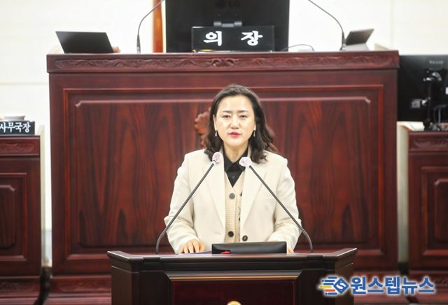 5분 자유발언 하는 이은진 기획행정위원장