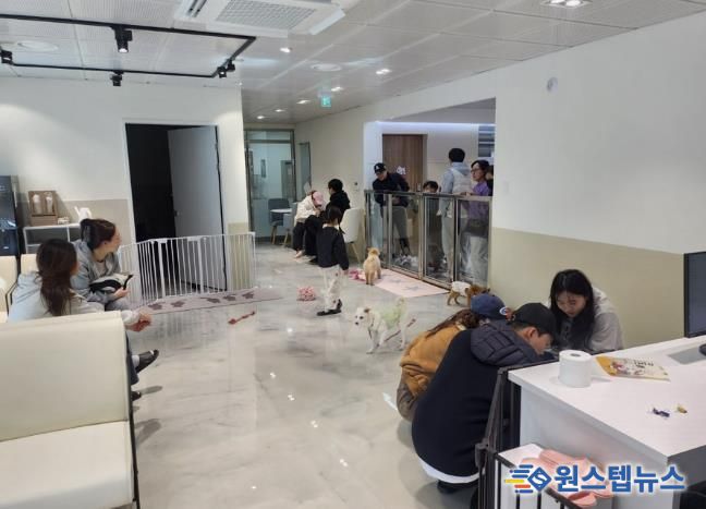 반려온뜰 입양센터를 찾은 방문객들