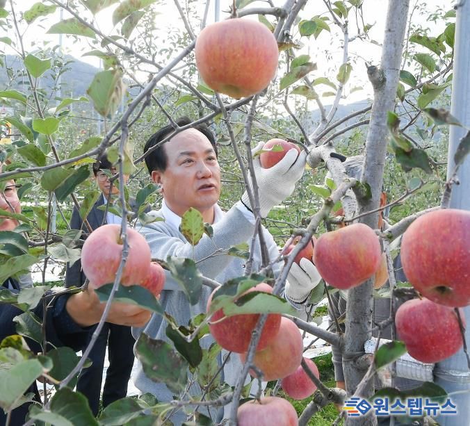 오산시, 자매도시 장수군서 ‘오산시민 장수 사과따기 체험행사’ 성황리 개최