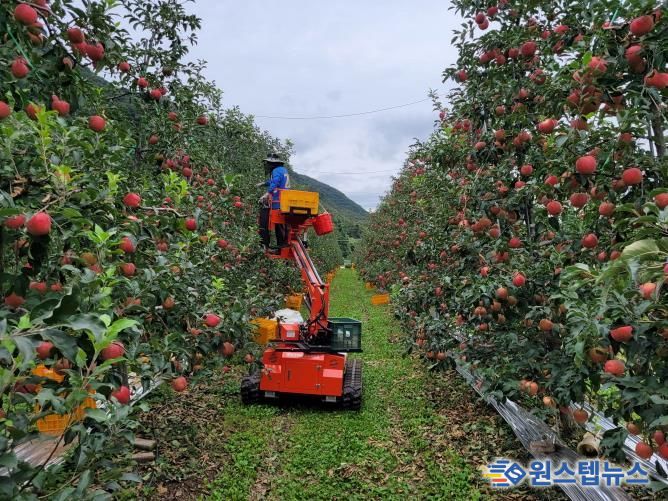 포천시, ‘2025년 포천사과 품평회 및 판매행사’ 개최