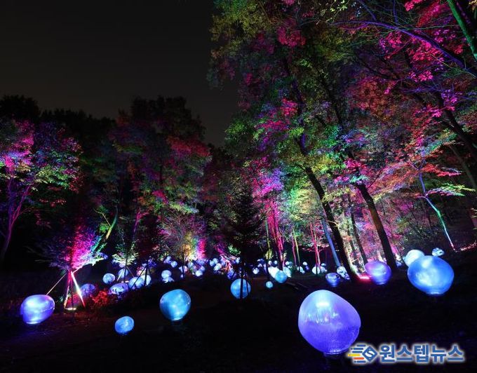 형형색색의 복사꽃 씨앗이 빛나는 도화씨 구간 전경