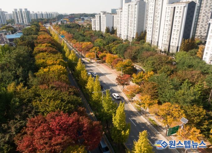 가로수 우수사례(평택시)