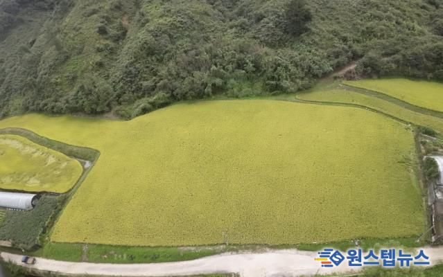 경기도 남양주시 조안면 시우리 222-3번지 일원에 있는 「구리시 관외 농지 활용 벼농사 체험장」 전경