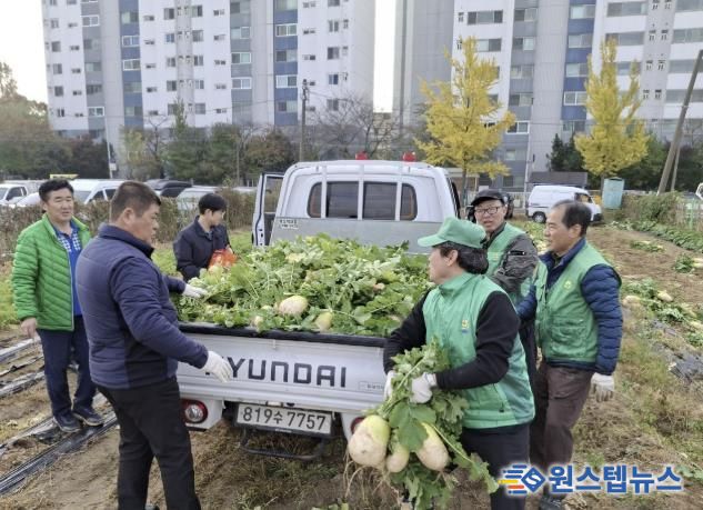 수원시 권선구 새마을지도자협의회, ‘사랑의 무’수확