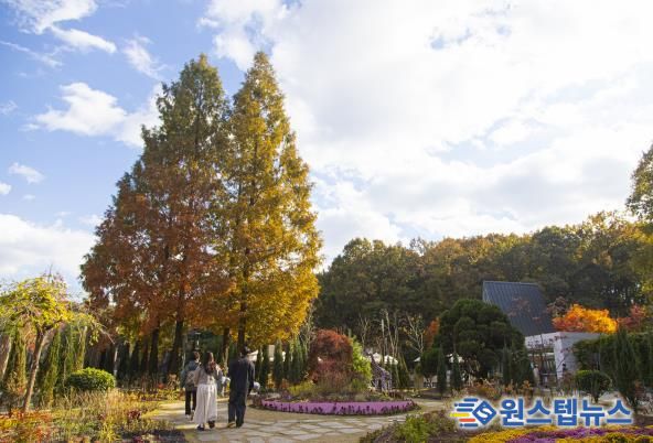 무릉도원수목원