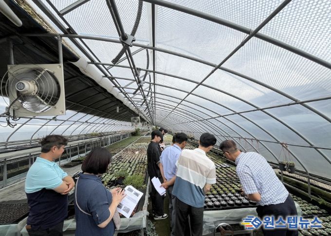 농업기술센터 실증온실에서 커피박과 우분을 혼합한 퇴비 시용 실험이 진행되고 있다.