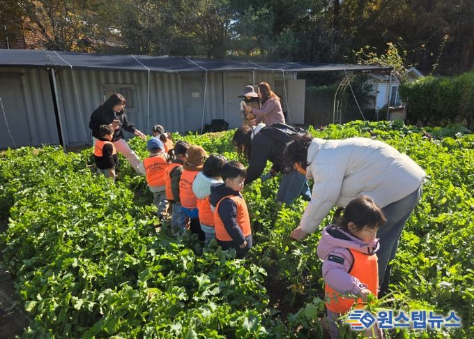 남양주시, 농업기술센터 그린학습원에서 어린이 대상 텃밭 무 수확 체험 진행