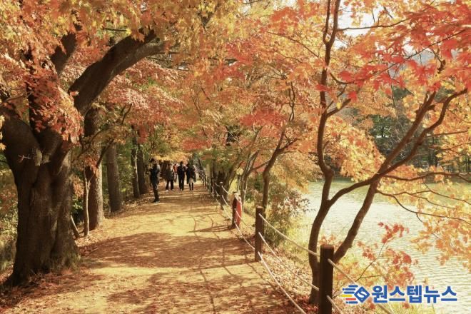 가평군 청평 옛 중앙내수면연구소 단풍길 개방행사 '성료'