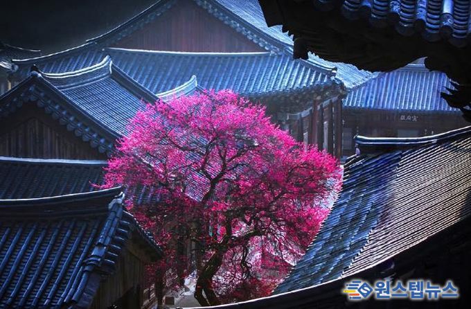 의정부시, 시민갤러리에서 제19회 (사)경기북부사진연구회 사진전 개최