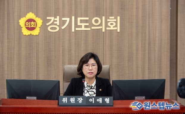 경기도의회 이애형 의원