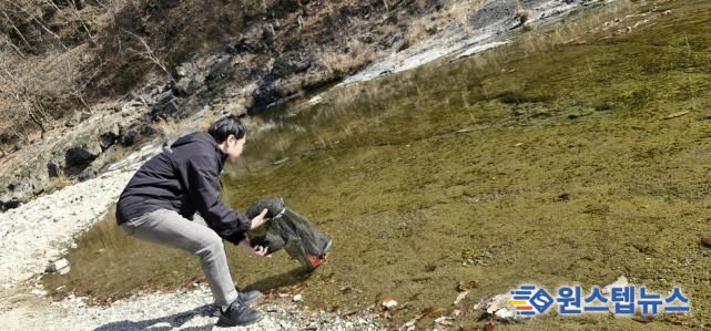 연천군, 한탄강·임진강에 토산어종 ‘다슬기’ 치어 83만 미 방류