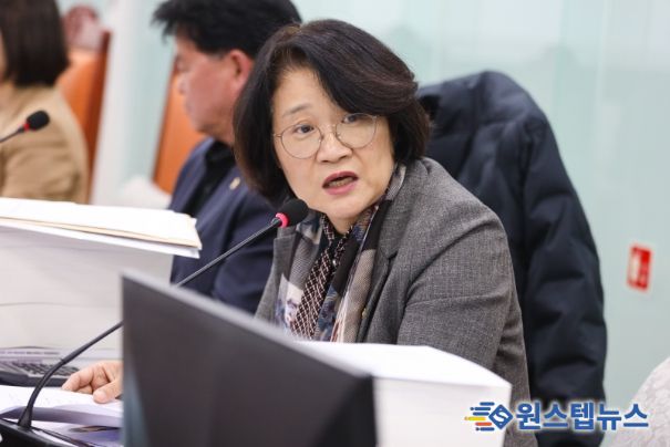 경기도의회 신미숙 의원