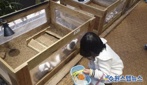 굼프로 곤충체험학습장