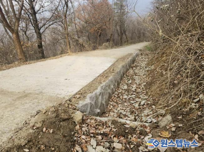 모현읍 왕산리 태교숲길 정비 완료 후 전경