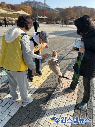 반려동물 관련 사진