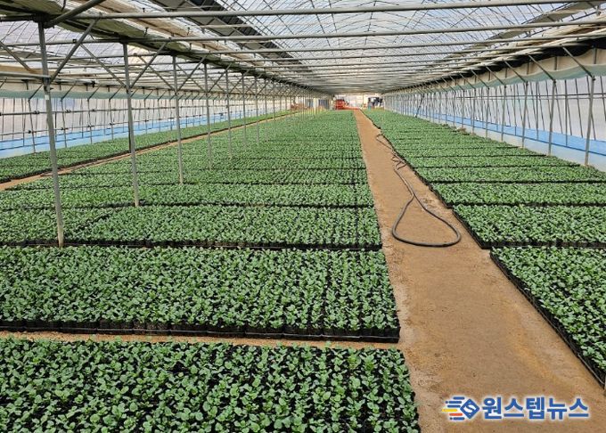 비산3동 꽃양묘장