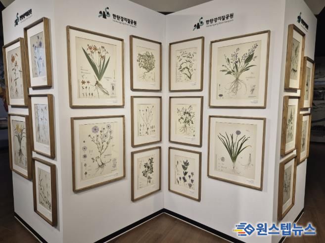 포천시, 한탄강의 아름다운 색채를 담은 압화 전시 개최