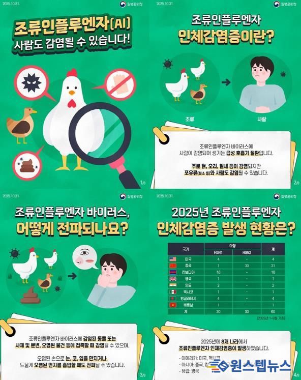 파주시, 조류인플루엔자 감염 예방을 위한 주의 당부