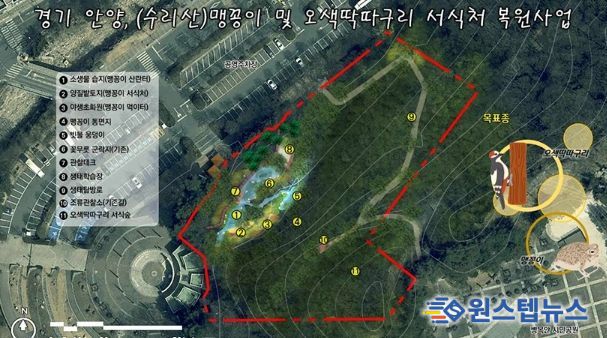 안양시, 병목안시민공원 맹꽁이・오색딱따구리 서식처 복원…국비 4.4억 확보