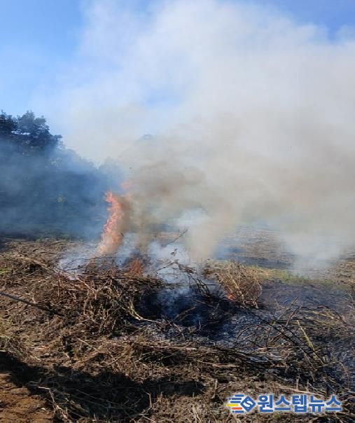안성시, 농촌지역 산불․화재 예방 불법소각 집중단속 결과, 올해 81건 적발