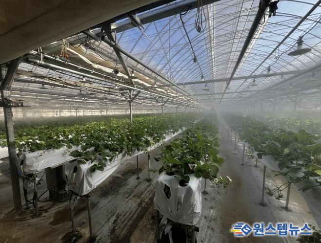 광주시, 선택형 맞춤 농정사업 추진…명품 농산물 육성 본격화