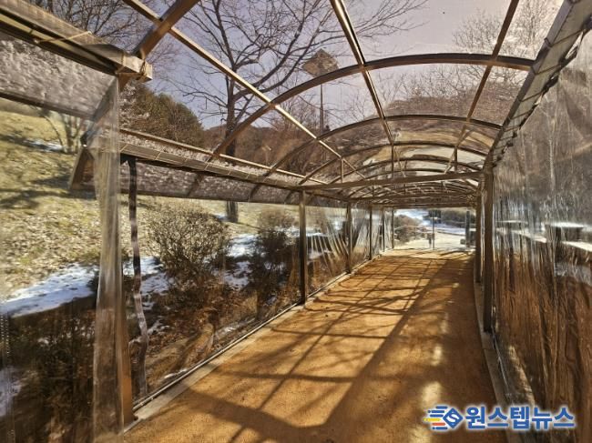 병목안시민공원 맨발산책길에 설치한 지붕 캐노피와 방한 비닐막 사진