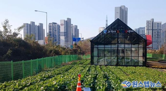 과천시 도시농업센터 모습