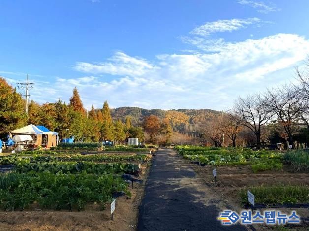 안성시, 2026년 도시농업공동체 공공텃밭 분양자 모집