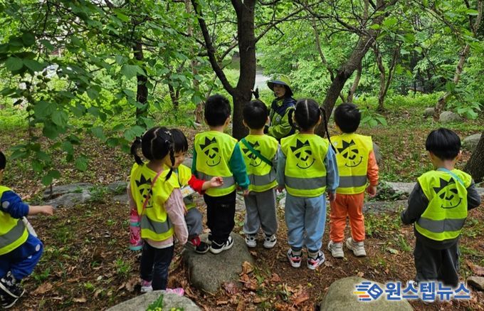 용인특례시가 상반기 유아숲체험과 찾아가는 숲해설 참여기관을 모집한다.