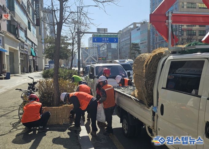 고양시 일산서구, 봄맞이 가로화단 월동시설 철거 완료