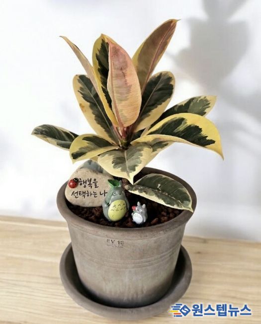 현재 성찰그룹의 완성품