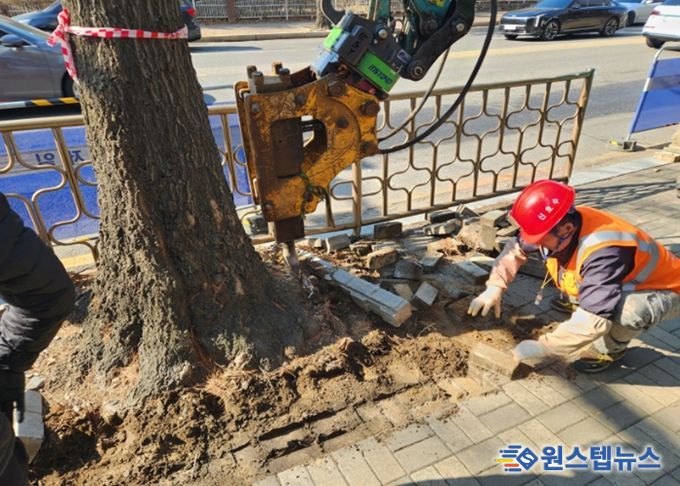 고양시 일산서구, 킨텍스로 일원 가로수 보호틀 정비 완료