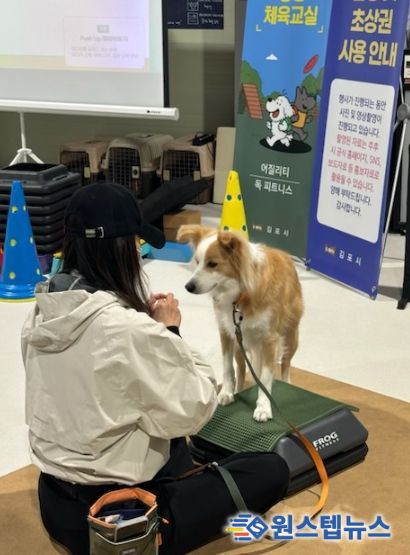 댕댕체육교실 중 독피트니스 프로그램을 진행하는 모습