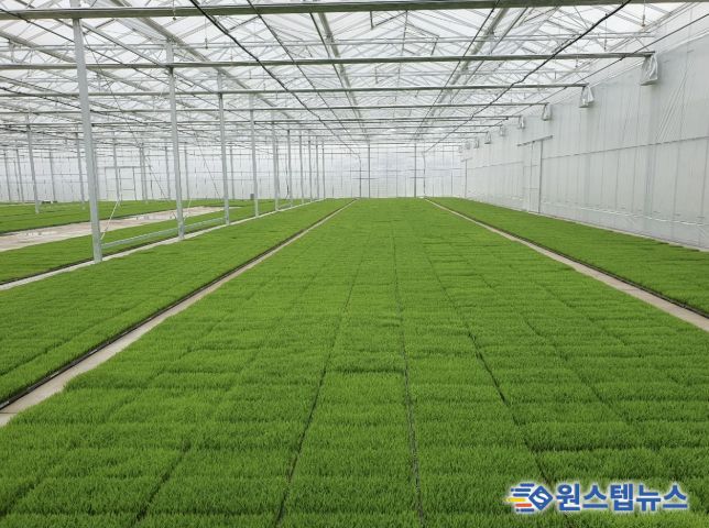 고품질 여주쌀 생산을 위한 볍씨소독 및 적기 못자리 설치