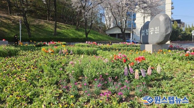 이천시, 설봉공원 봄맞이 초화류 식재 완료