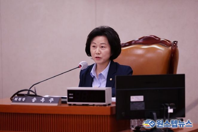 송옥주 국회의원(더불어민주당ㆍ경기 화성시갑)