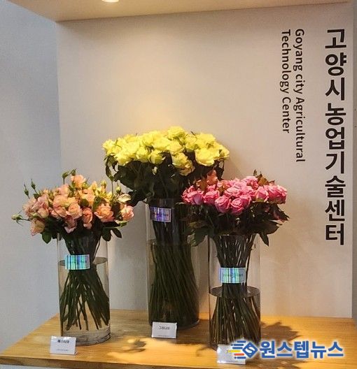 고양시,‘행주한우·장미' 특화농산물 지정